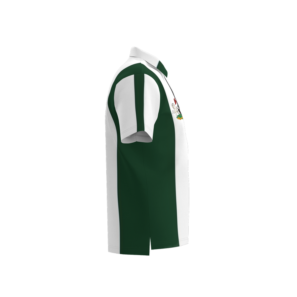 Unisex Classic Nigeria stripe Polo Shirt